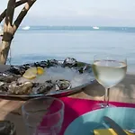 Hébergement de vacances De Charme Bassin D'arcachon- Piscine-proche Des Plages-au Calme Gujan-Mestras